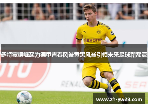 多特蒙德崛起为德甲青春风暴黄黑风暴引领未来足球新潮流